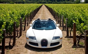 Bugatti Veyron 16.4 Grand Sport 2010 in Napa Valley - Front 2 wallpaper