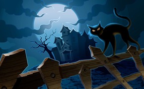 Cat in Halloween Night wallpaper