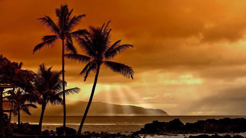 Sunset in the Tropics wallpaper