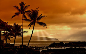 Sunset in the Tropics wallpaper