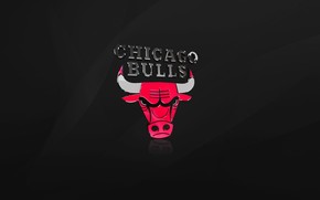 The Chicago Bulls wallpaper