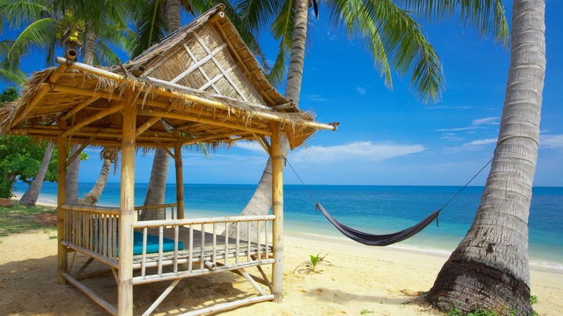 Exotic Beach and Accessories wallpaper