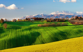 Green Field Landscape wallpaper