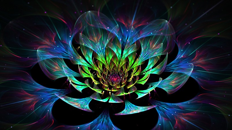3D Lotus Flower wallpaper