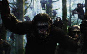 Dawn of the Planet of the Apes Movie wallpaper