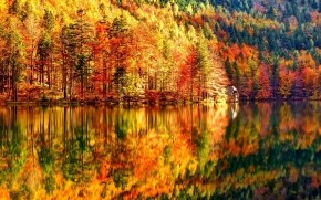 Autumn Landscape wallpaper