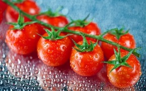 Fresh Cherry Tomatoes wallpaper