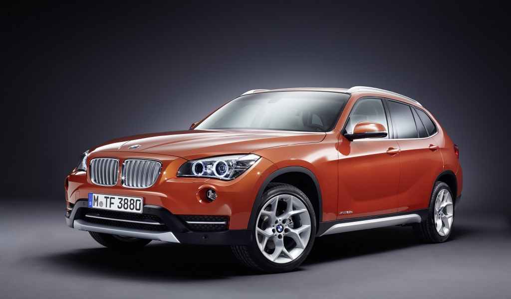 2013 BMW X1 for 1024 x 600 widescreen resolution