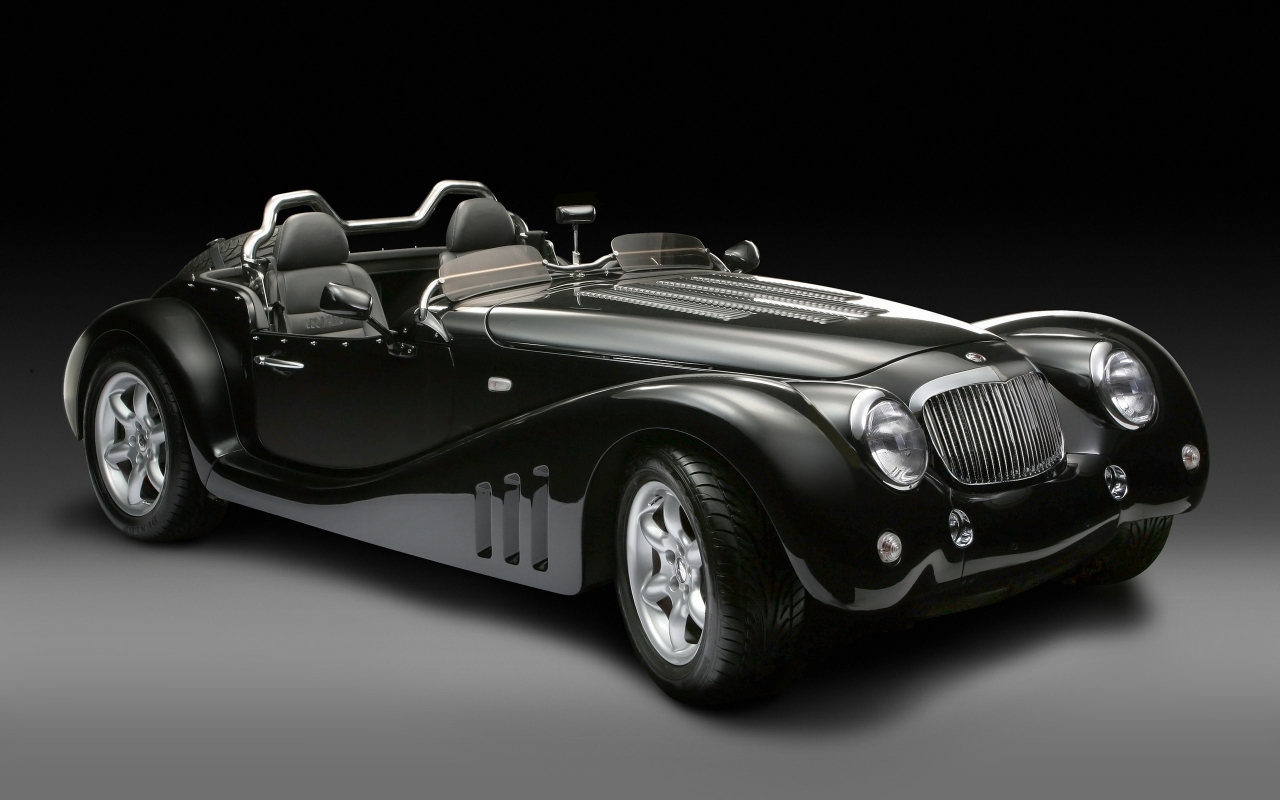 2013 Leopard Roadster Studio for 1280 x 800 widescreen resolution