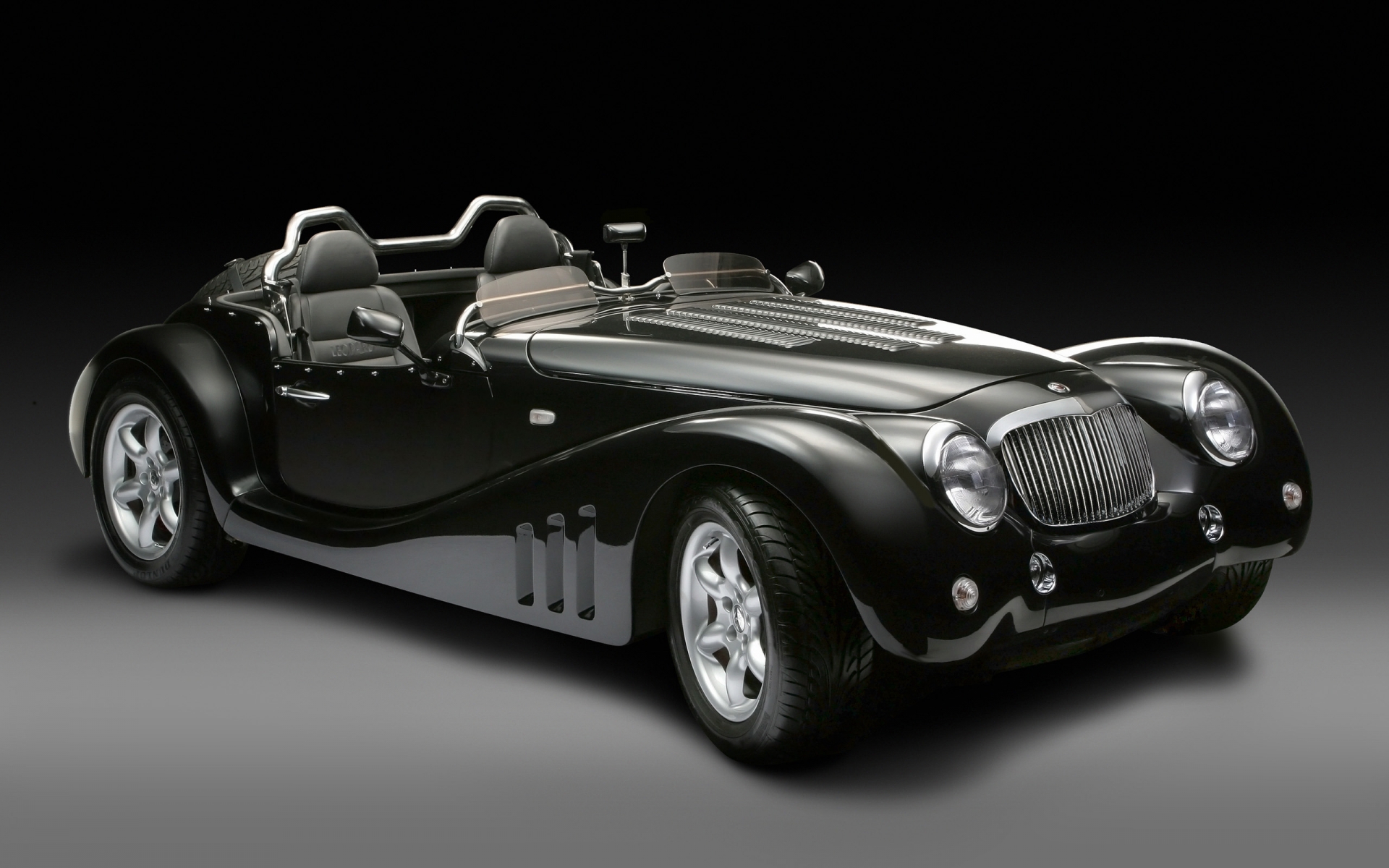 2013 Leopard Roadster Studio for 1920 x 1200 widescreen resolution