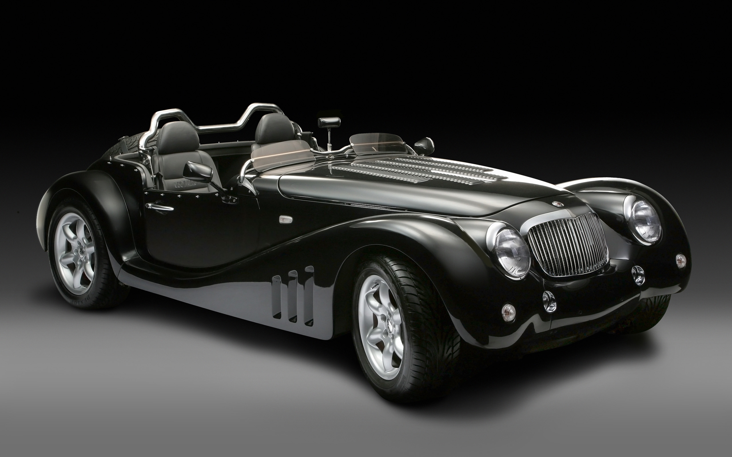 2013 Leopard Roadster Studio for 2560 x 1600 widescreen resolution