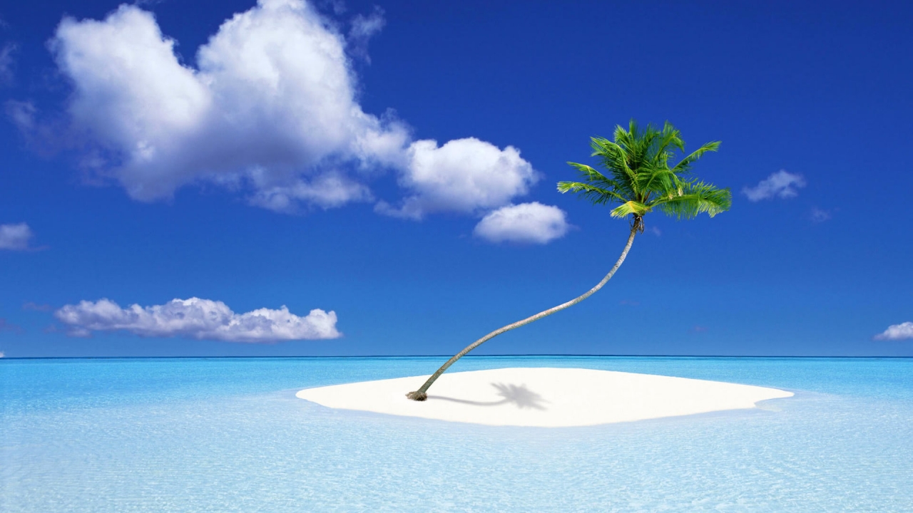 A Palm Tree Island for 1280 x 720 HDTV 720p resolution