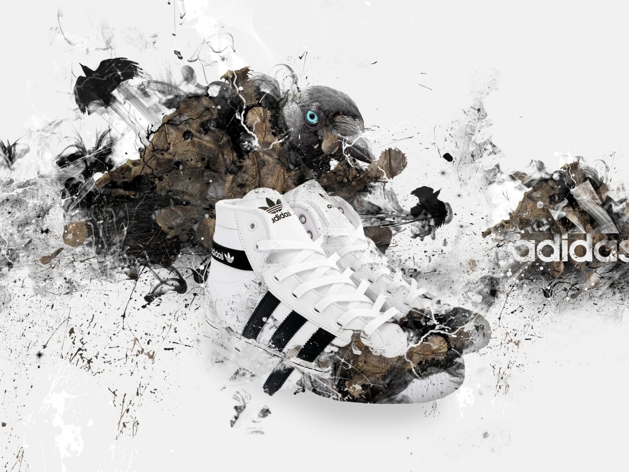 Adidas Shoes for 1280 x 960 resolution