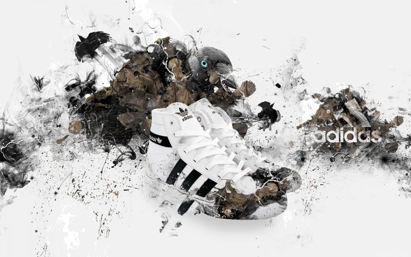 Adidas Shoes for 1440 x 900 widescreen resolution