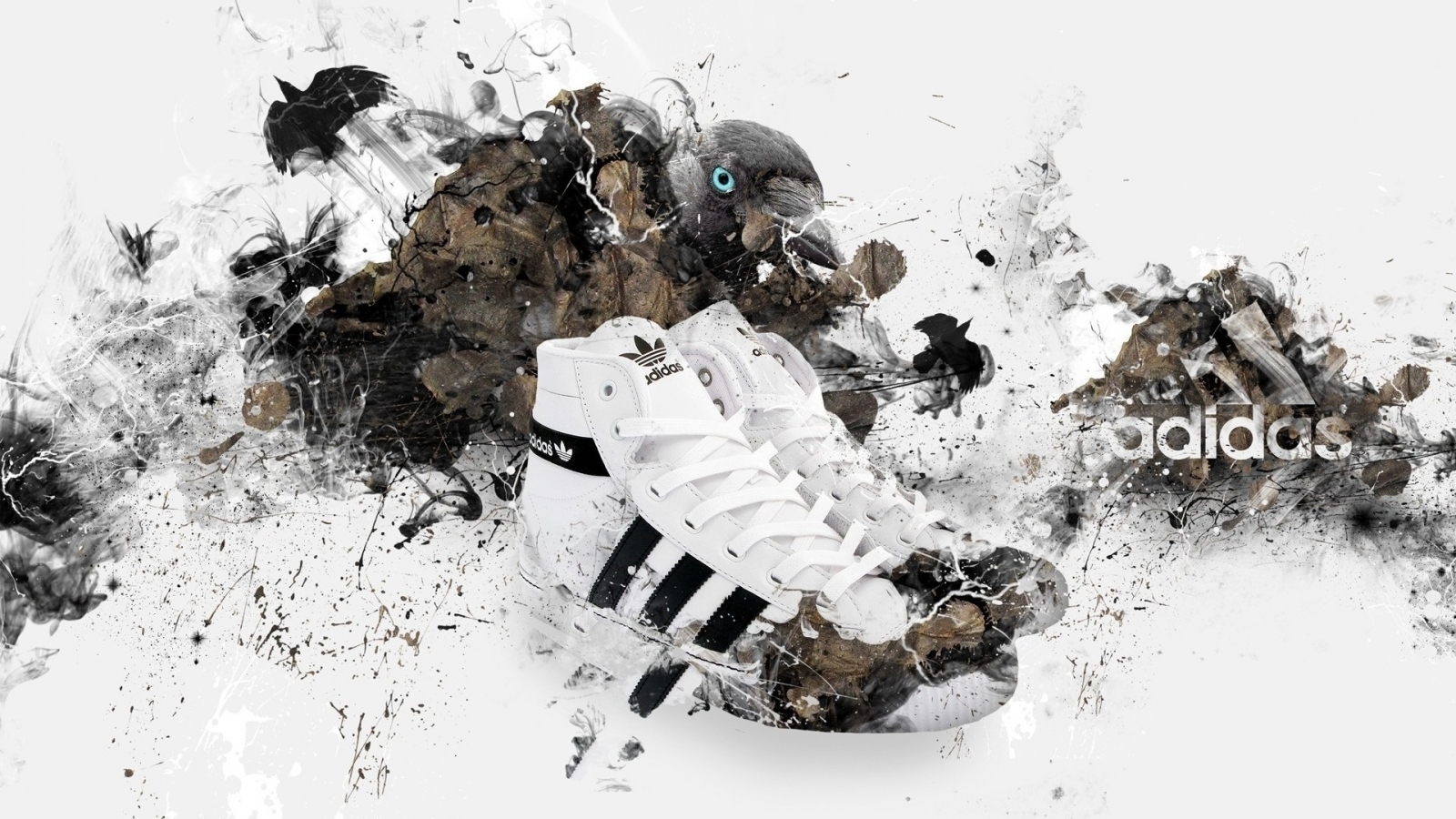 Adidas Shoes for 1600 x 900 HDTV resolution
