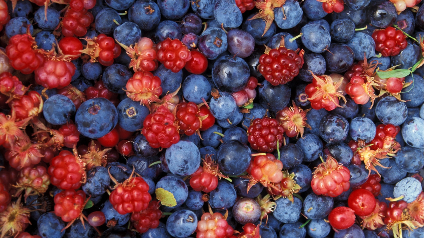 Alaska wild berries for 1366 x 768 HDTV resolution