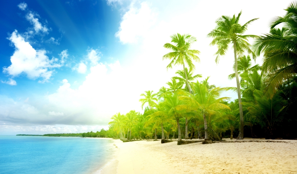 Amazing Exotic beach for 1024 x 600 widescreen resolution