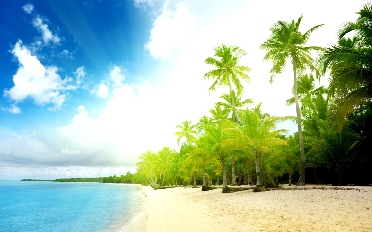 Amazing Exotic beach for 1280 x 800 widescreen resolution