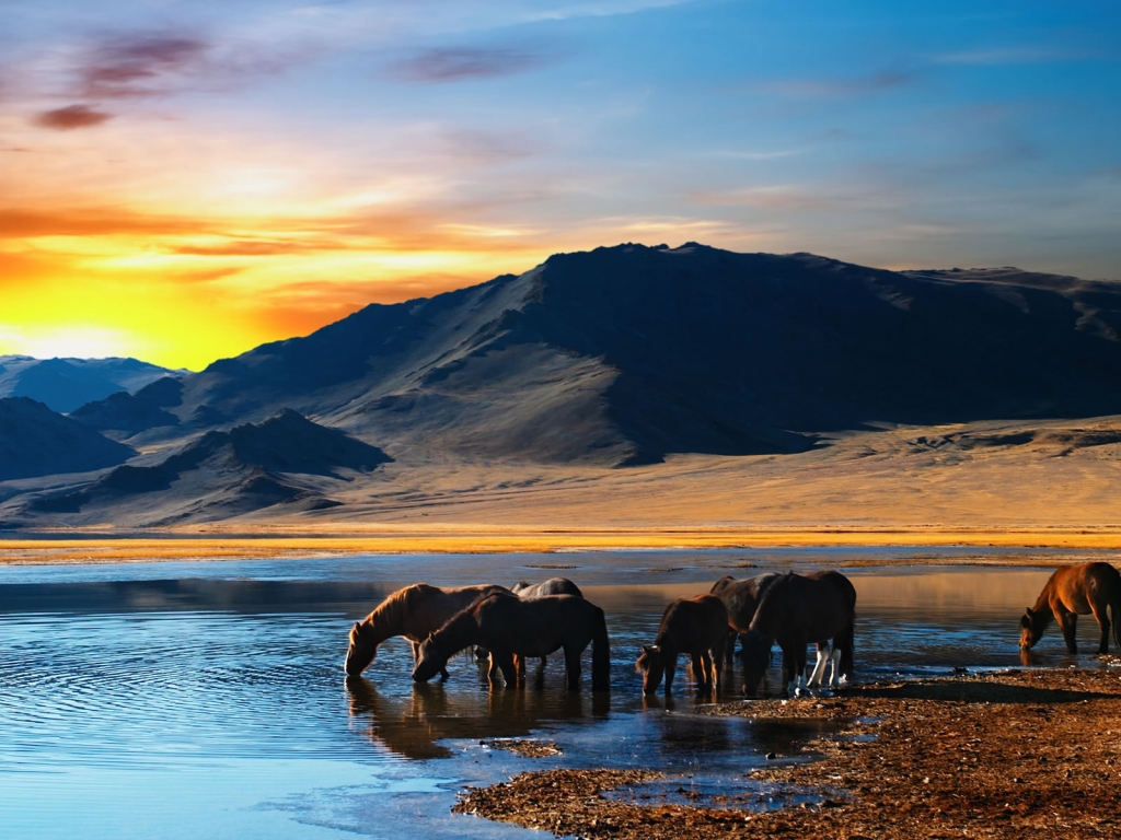 Amazing Scene with Horses for 1024 x 768 resolution