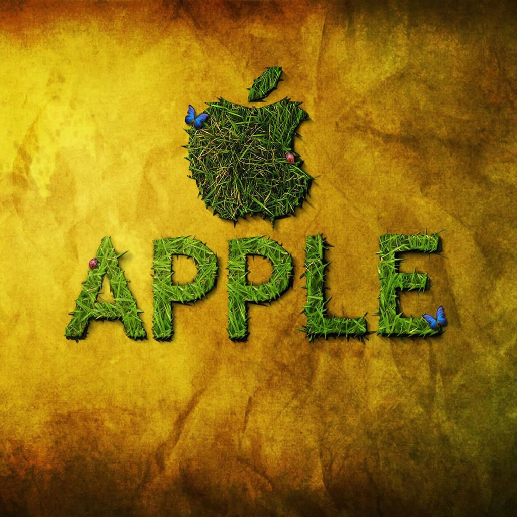 Apple and Butterfly for 1024 x 1024 iPad resolution
