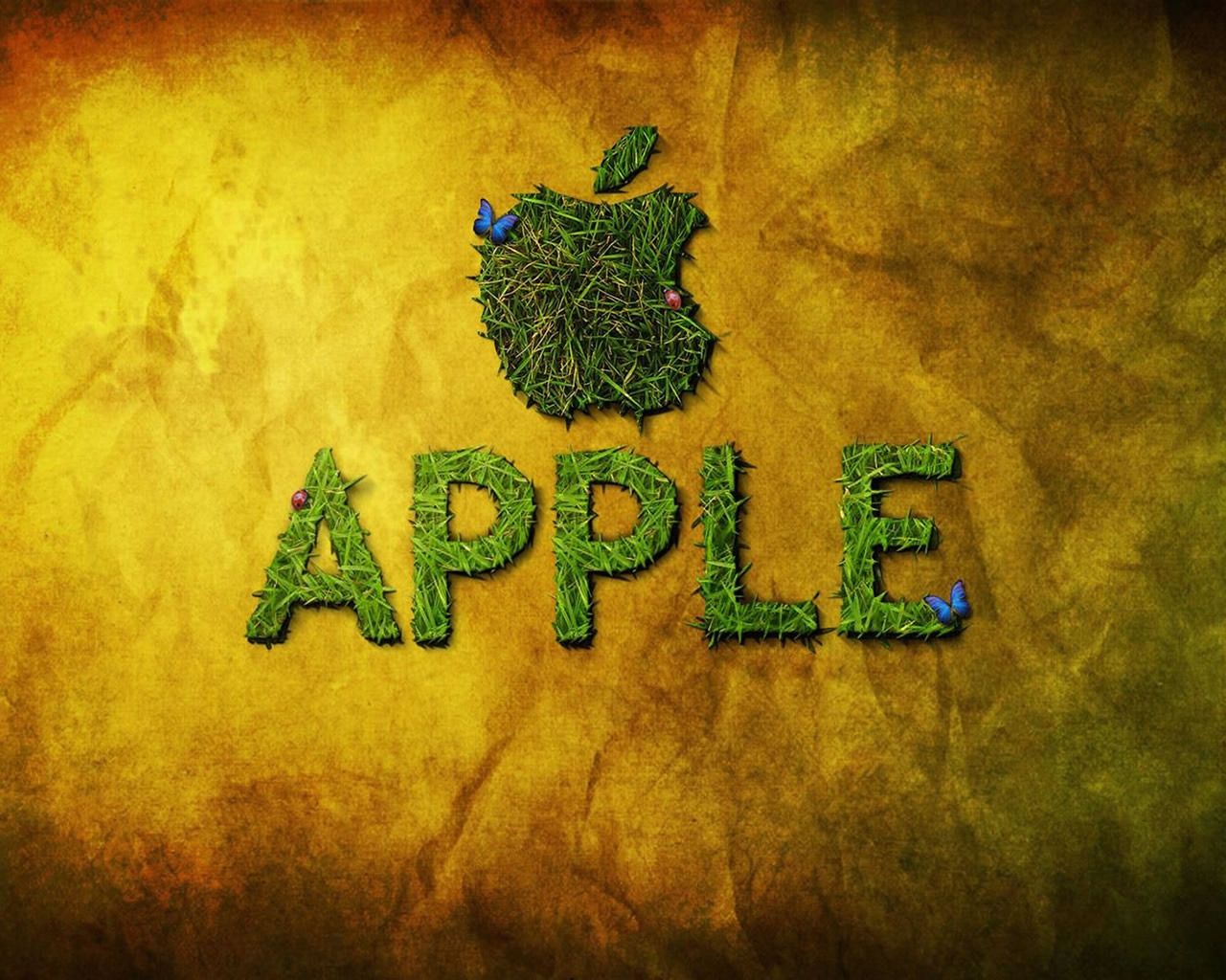 Apple and Butterfly for 1280 x 1024 resolution