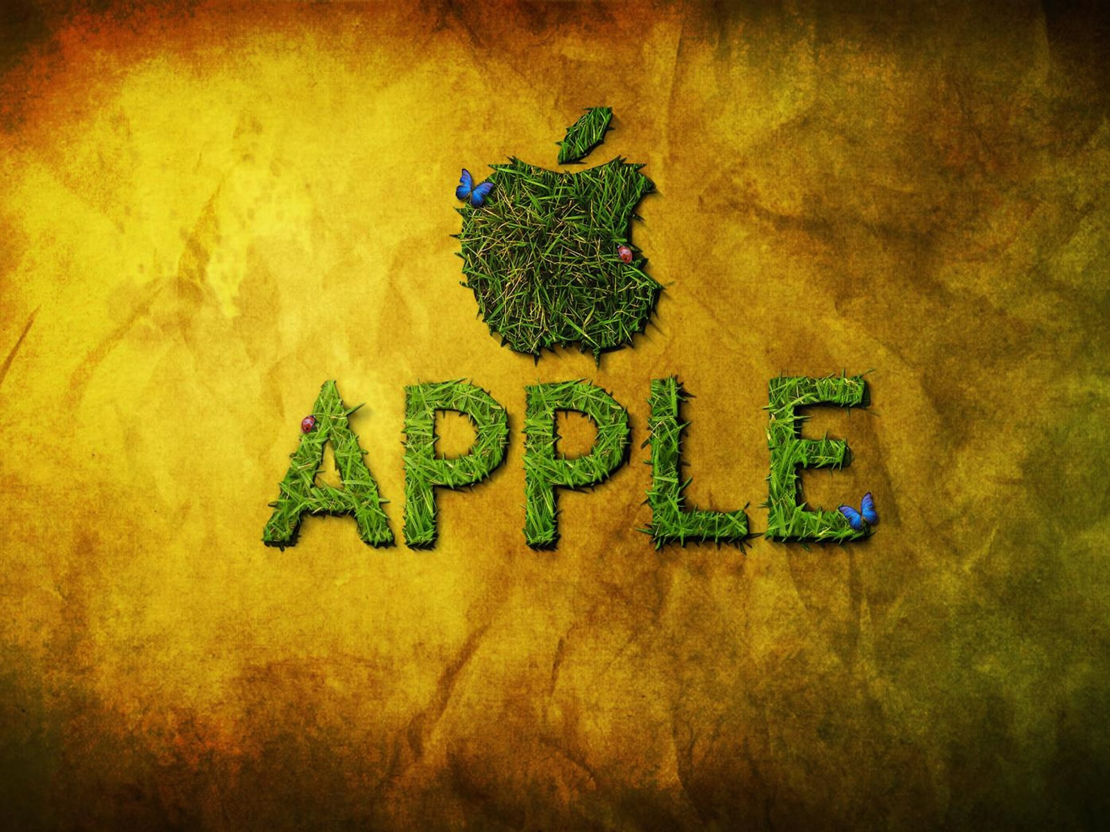 Apple and Butterfly for 1600 x 1200 resolution