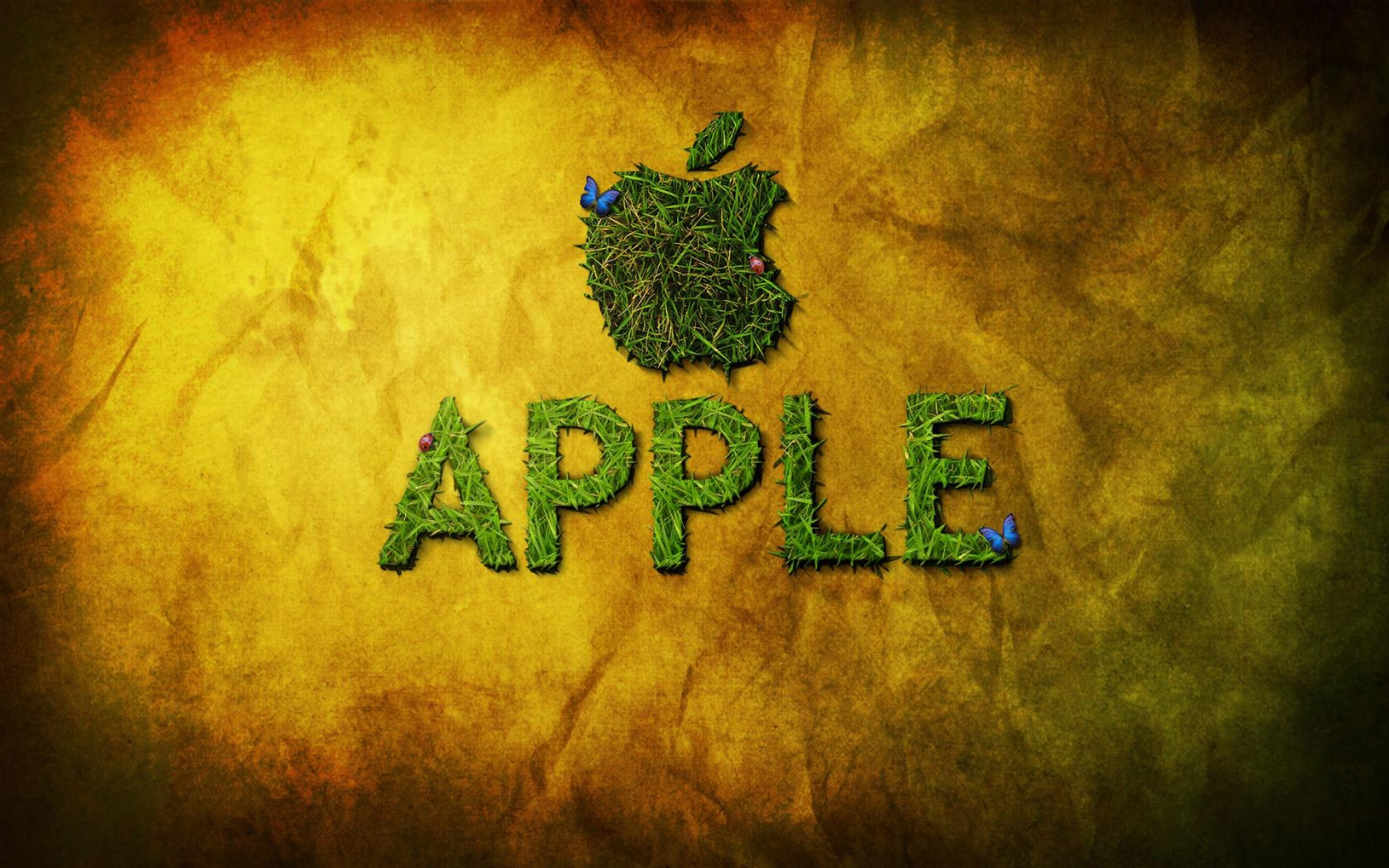Apple and Butterfly for 1680 x 1050 widescreen resolution