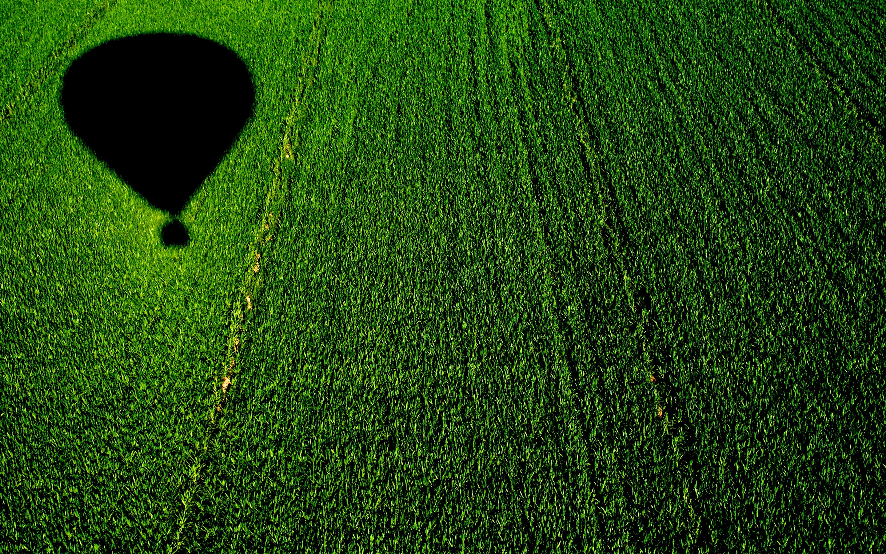 Balloon over a Cornfield for 2880 x 1800 Retina Display resolution