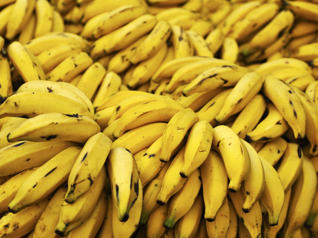 Bananas for 1024 x 768 resolution