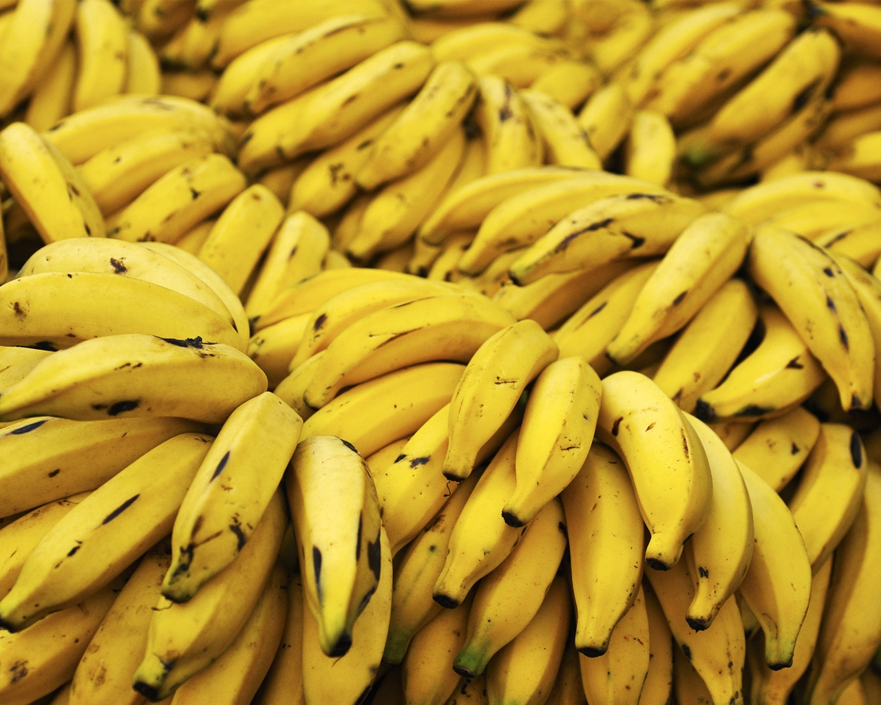 Bananas for 1280 x 1024 resolution