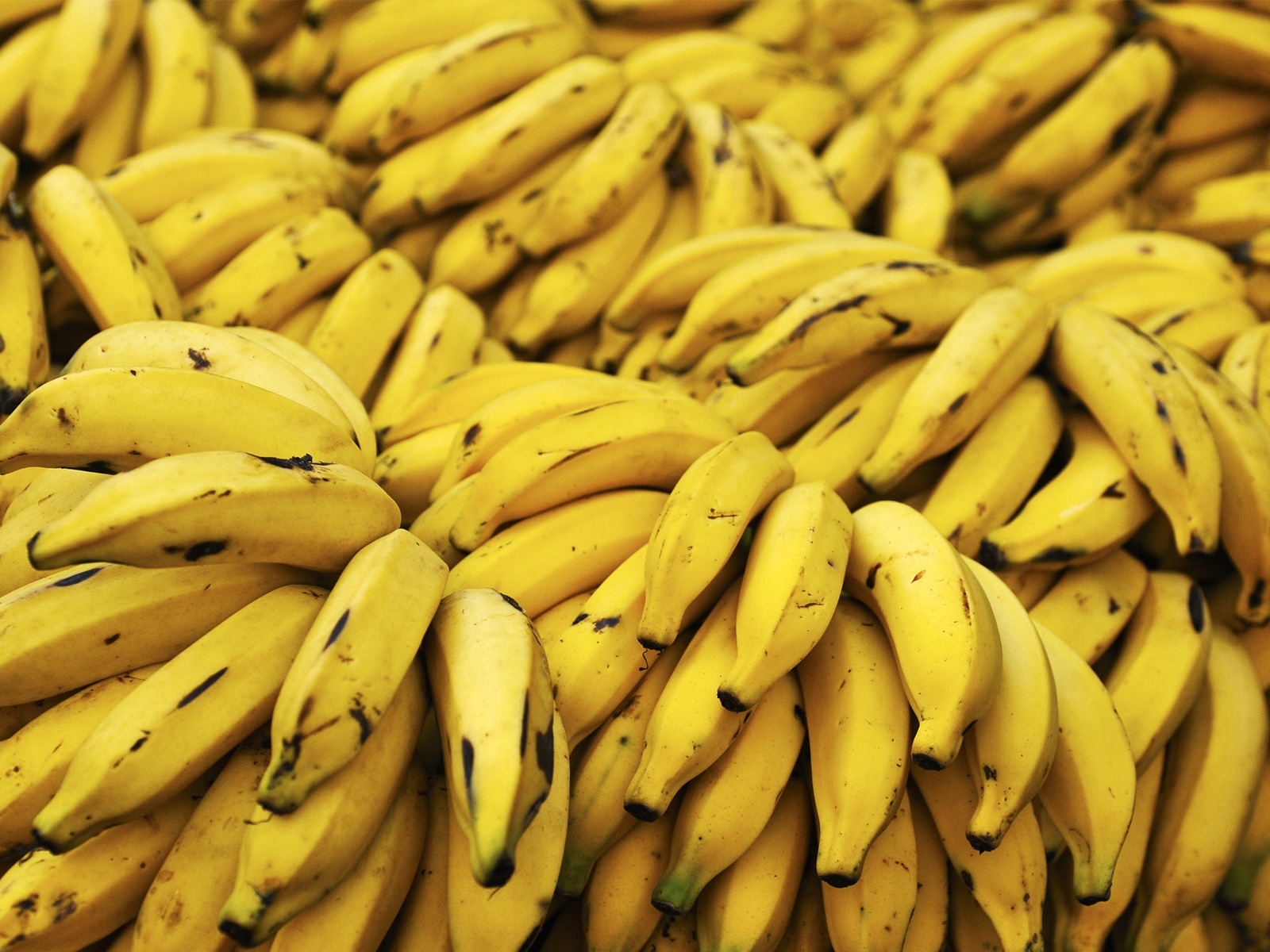 Bananas for 1600 x 1200 resolution