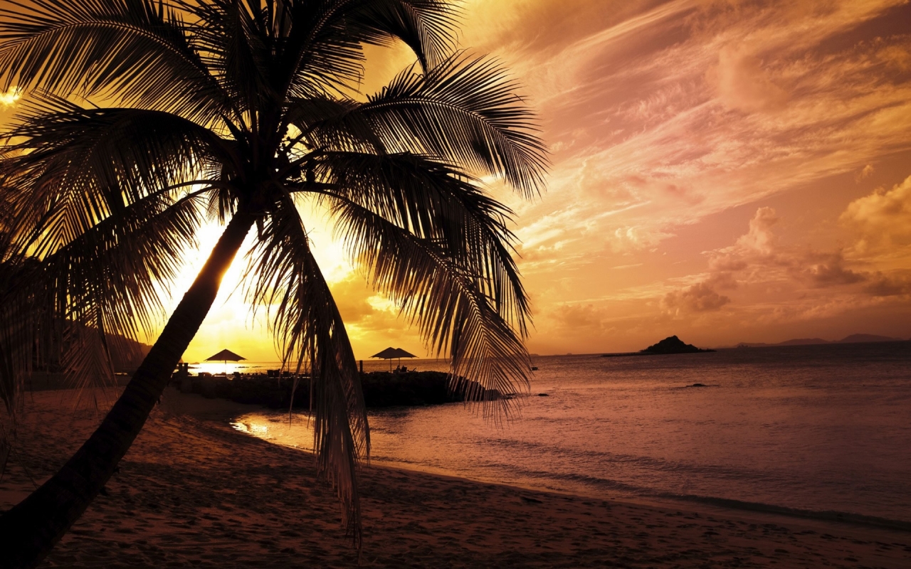 Beach Sunset for 1280 x 800 widescreen resolution