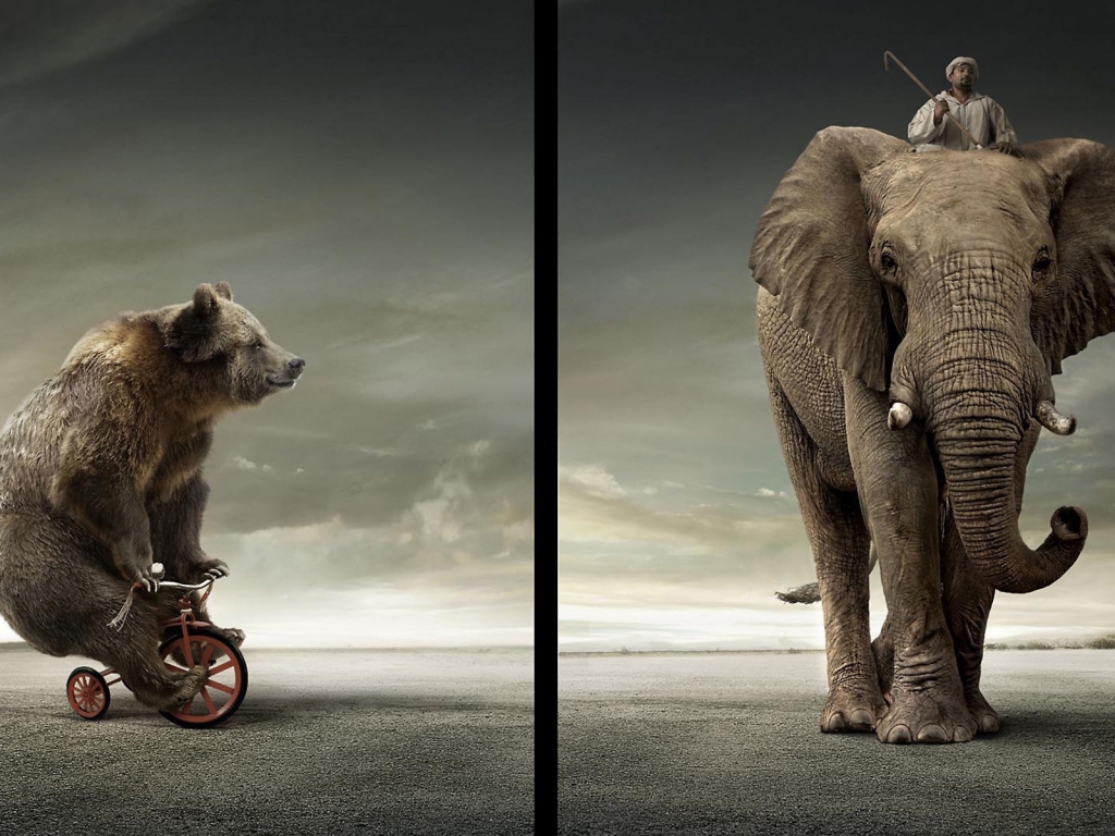 Bear Vs Elephant for 1024 x 768 resolution