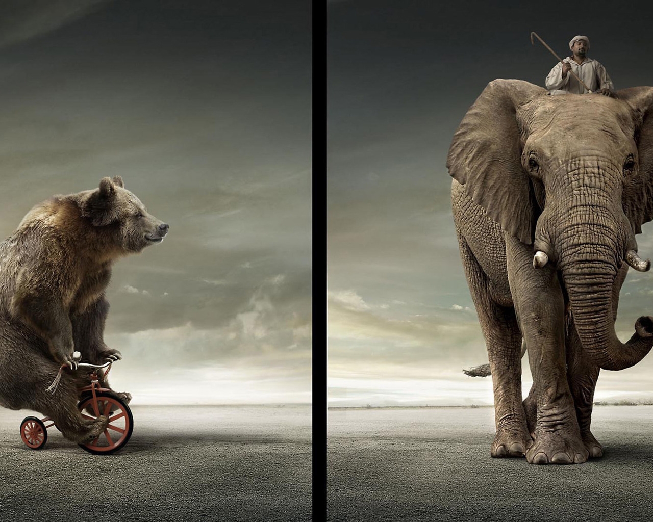 Bear Vs Elephant for 1280 x 1024 resolution