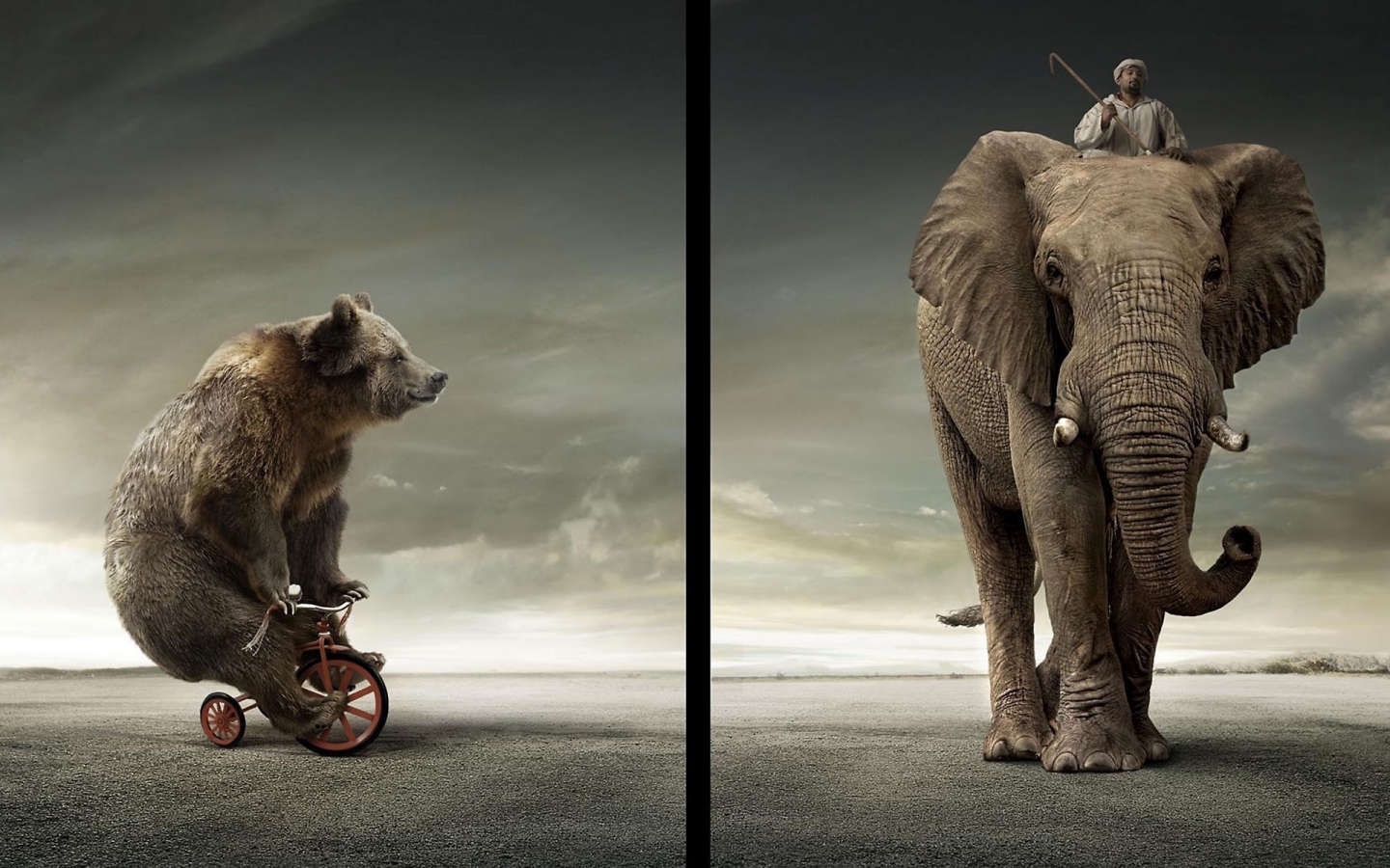 Bear Vs Elephant for 1440 x 900 widescreen resolution