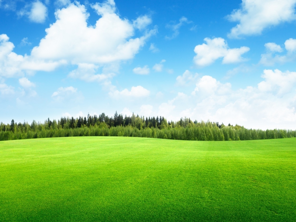 Beaufitul Green Grass Field for 1024 x 768 resolution