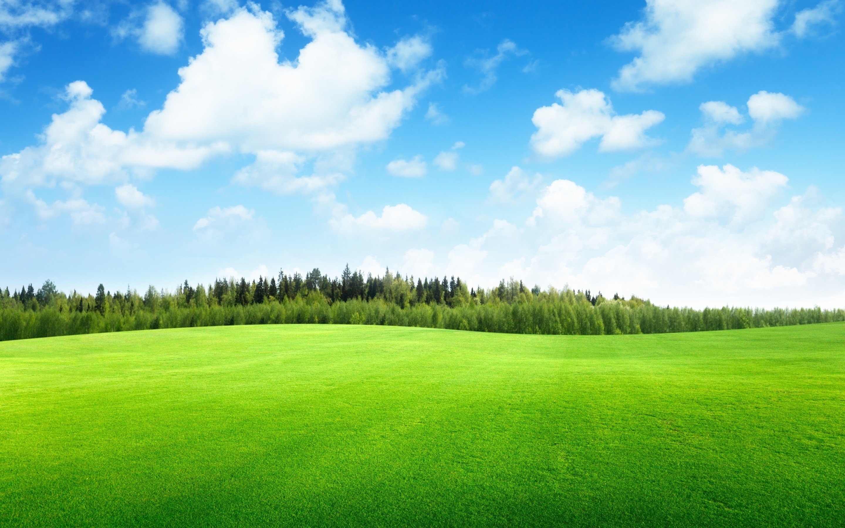 Beaufitul Green Grass Field for 2880 x 1800 Retina Display resolution