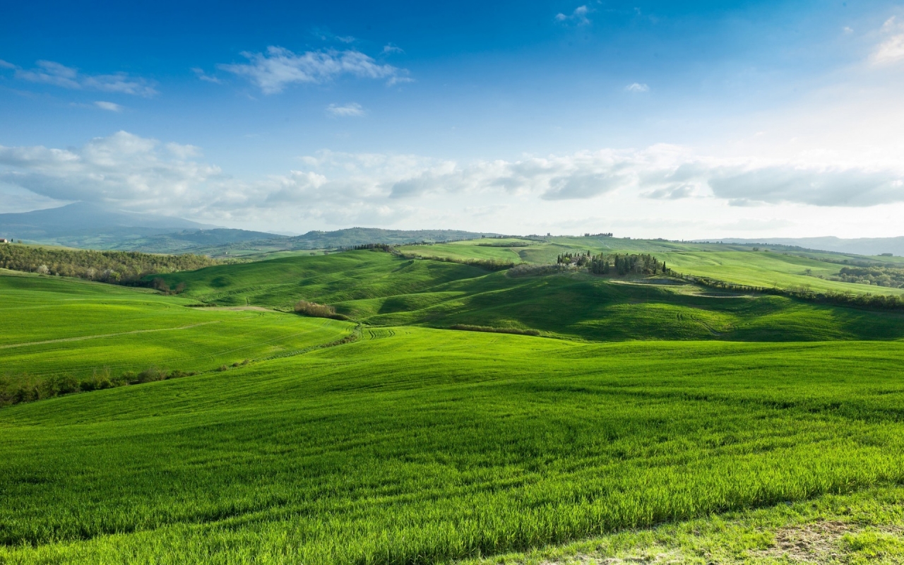 Beautiful Green Lands for 1280 x 800 widescreen resolution