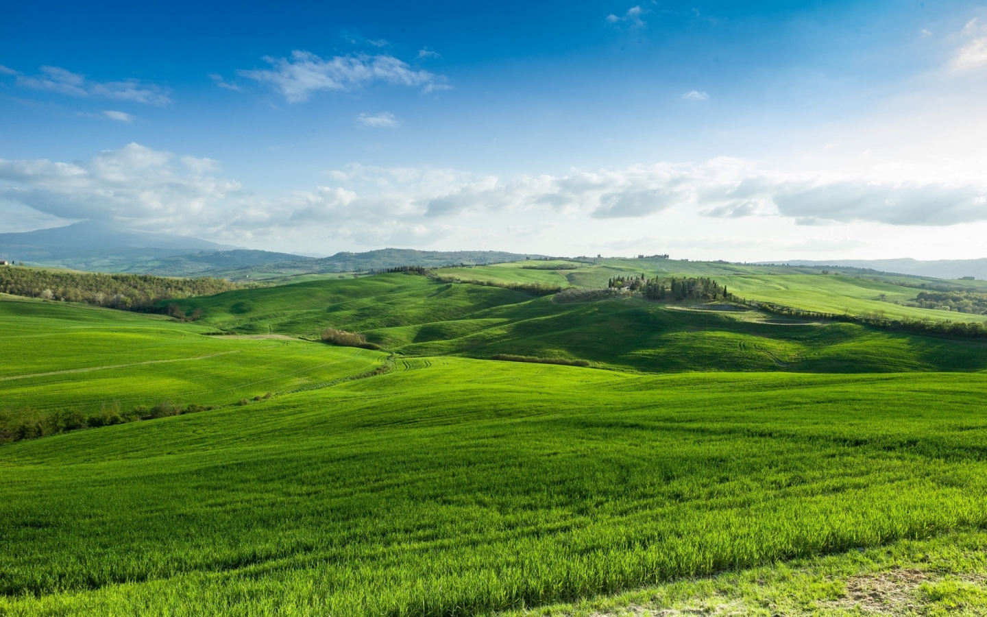 Beautiful Green Lands for 1440 x 900 widescreen resolution