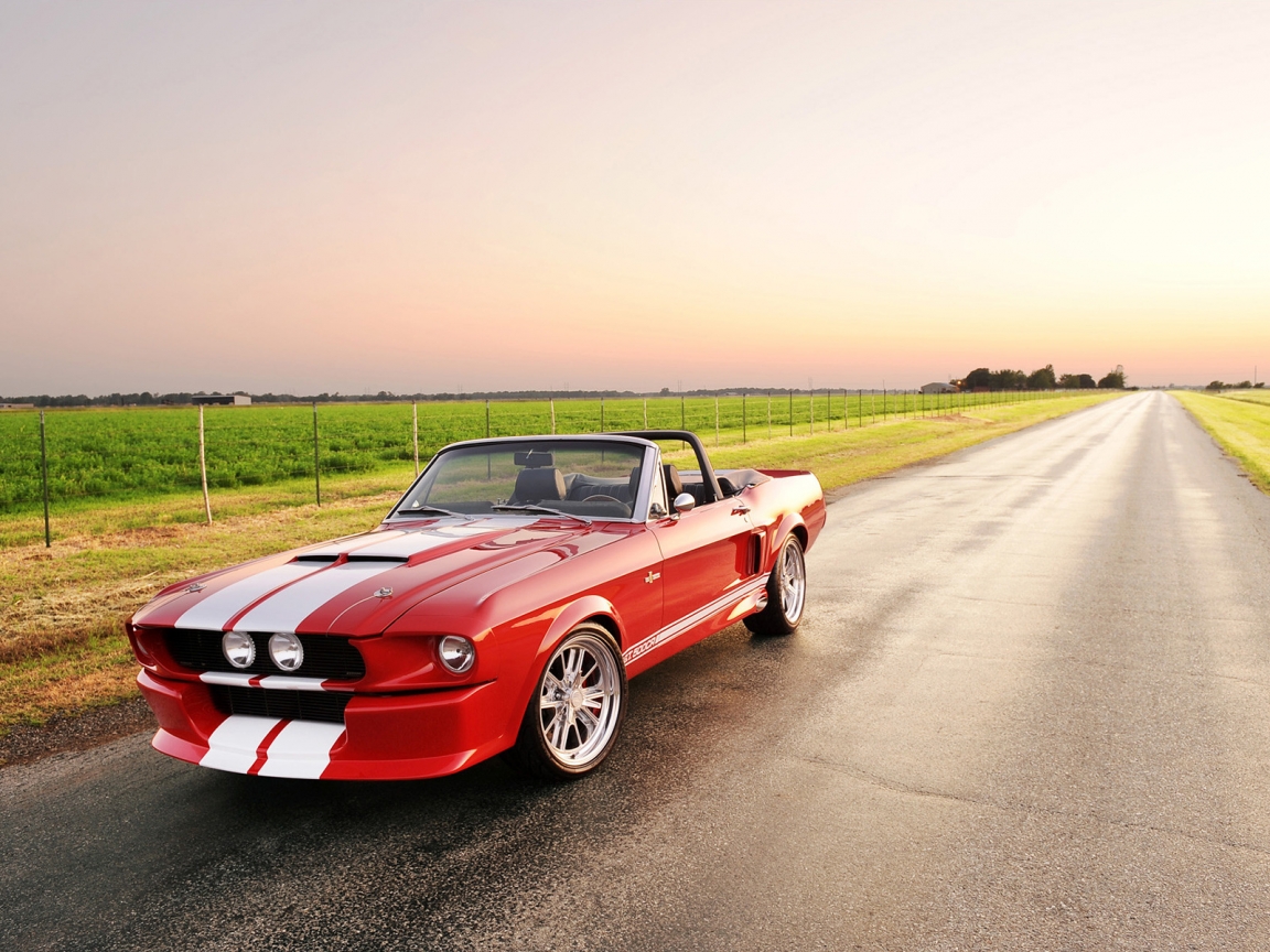 Beautiful Shelby GT 500 Convertible for 1152 x 864 resolution