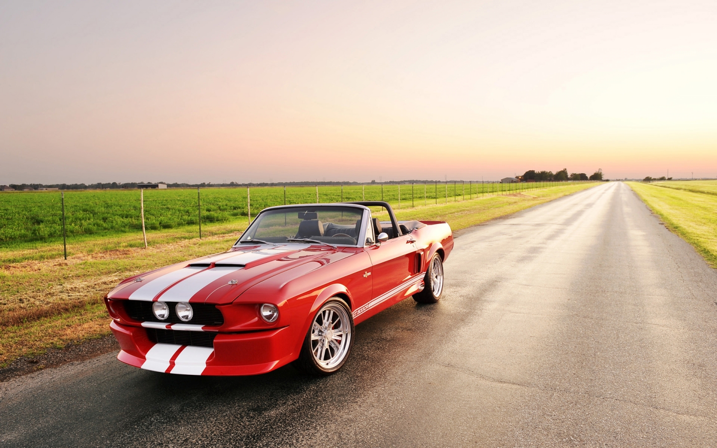 Beautiful Shelby GT 500 Convertible for 1440 x 900 widescreen resolution