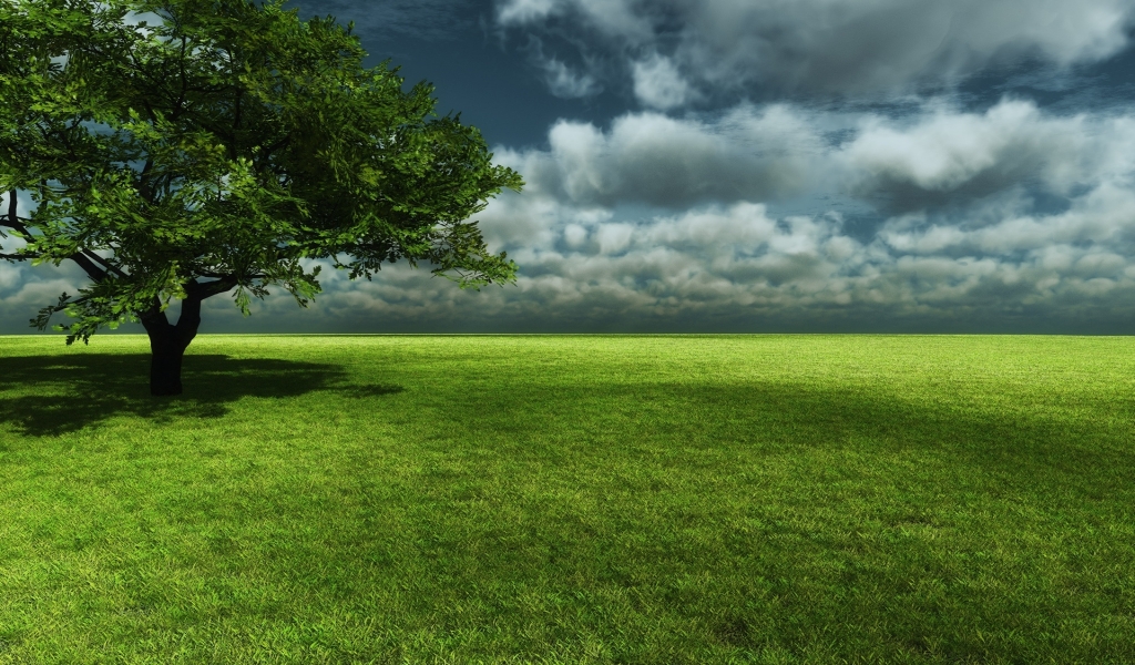 Beautiful Spring Background for 1024 x 600 widescreen resolution