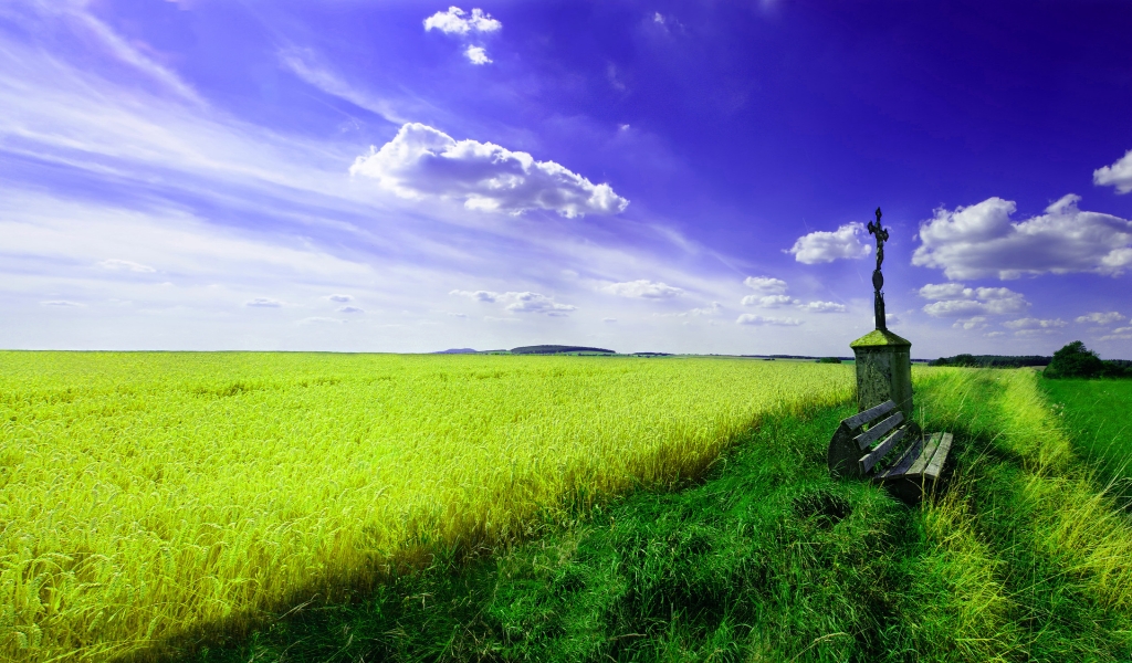 Beautiful spring landscape for 1024 x 600 widescreen resolution