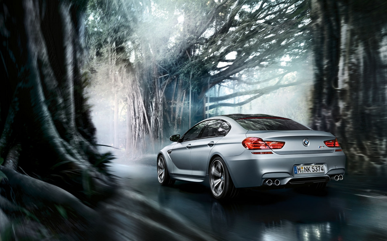 BMW M6 Gran Coupe for 1280 x 800 widescreen resolution