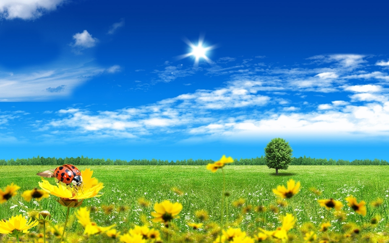 Bright Spring for 1280 x 800 widescreen resolution