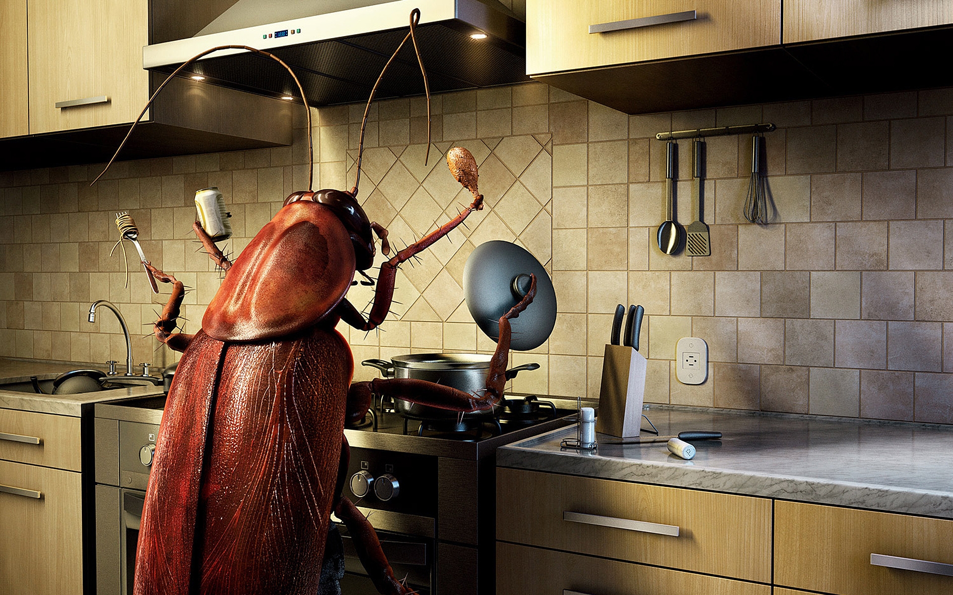 Bug Cooking for 1920 x 1200 widescreen resolution