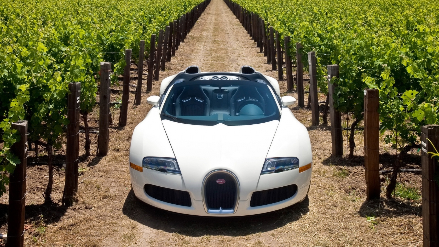 Bugatti Veyron 16.4 Grand Sport 2010 in Napa Valley - Front 2 for 1680 x 945 HDTV resolution