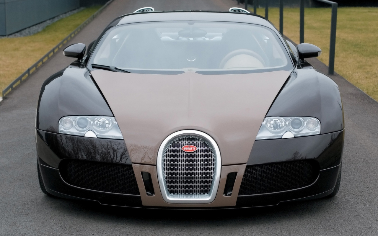 Bugatti Veyron Fbg par Hermes 2008 - Front for 1280 x 800 widescreen resolution