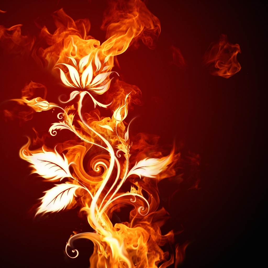 Burning Flower for 1024 x 1024 iPad resolution