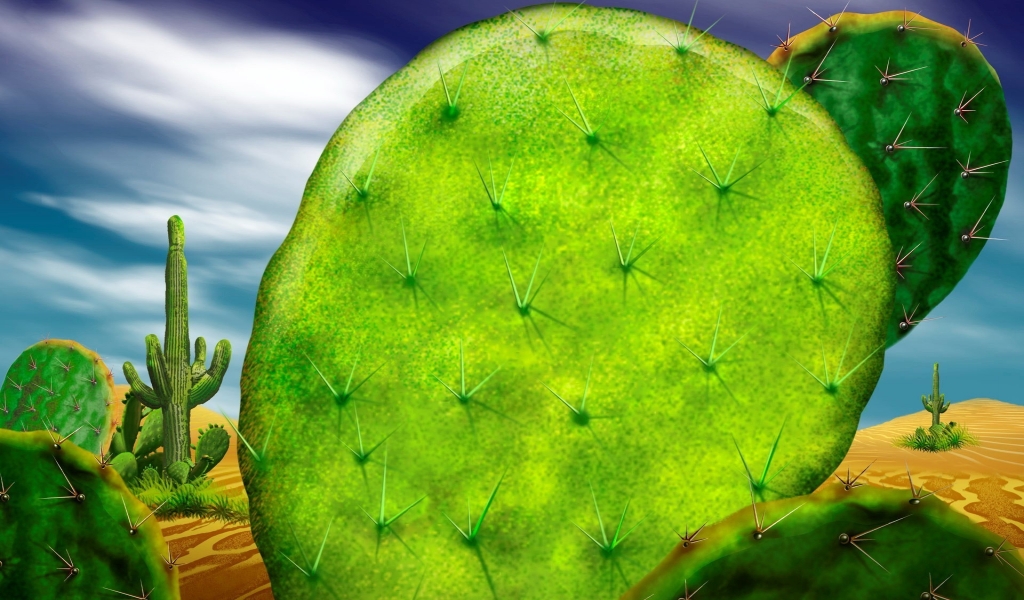 Cactus for 1024 x 600 widescreen resolution